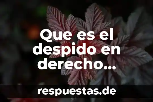 Que es bueno para los nervios y estres 6 Que es el despido en derecho laboral