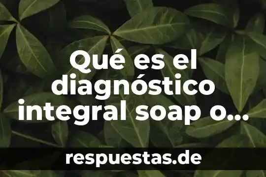 Que es el estado integral del financiamiento 8 Qué es el diagnóstico integral soap o pes