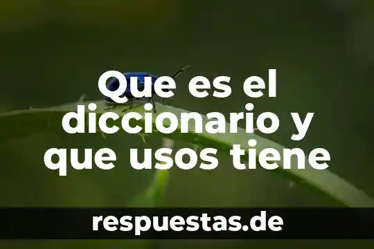 Que es afincado diccionario 5 Que es el diccionario y que usos tiene