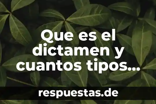 Qué es un síndrome cuantos tipos de síndromes hay 4 Que es el dictamen y cuantos tipos de dictamen hay