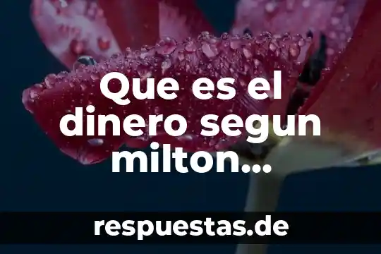 Qué es el dinero en matemáticas financieras 3 Que es el dinero segun milton friedman