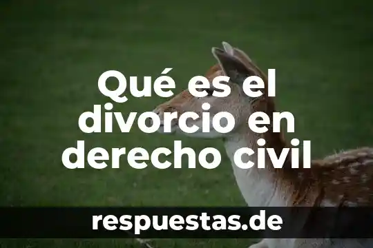 Qué es el divorcio en derecho civil