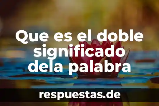 Qué es la palabra ñero 8 Que es el doble significado dela palabra