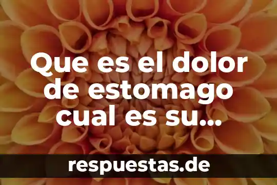 Que es el significado de estomago 7 Que es el dolor de estomago cual es su causa