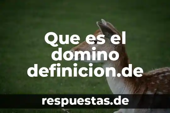 Qué es la naturaleza de la empresa definición 8 Que es el domino definicion.de