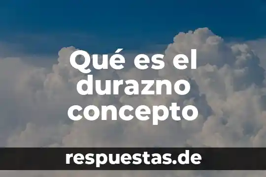 Qué es el durazno concepto