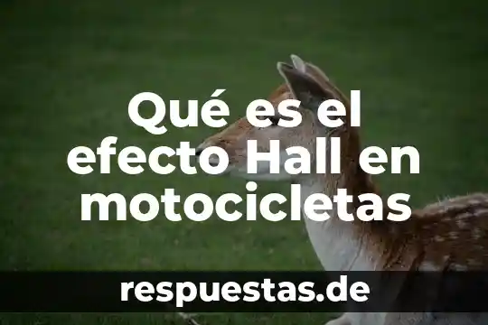 Qué es el efecto Hall y cómo se lo determina 5 Qué es el efecto Hall en motocicletas
