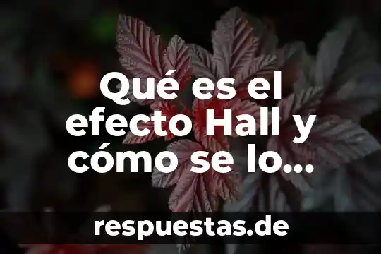 Que es el efecto hall basico 3 Qué es el efecto Hall y cómo se lo determina