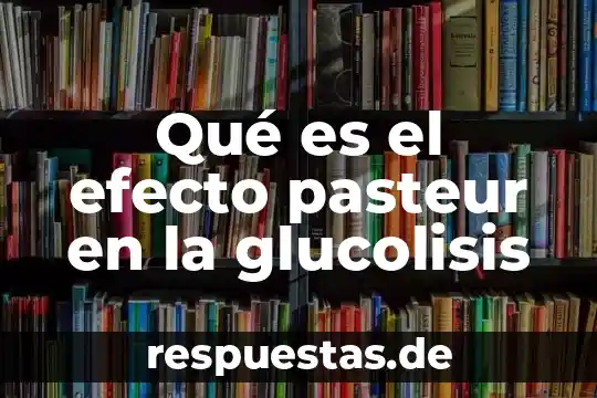 Que es un efecto bactericida 8 Qué es el efecto pasteur en la glucolisis