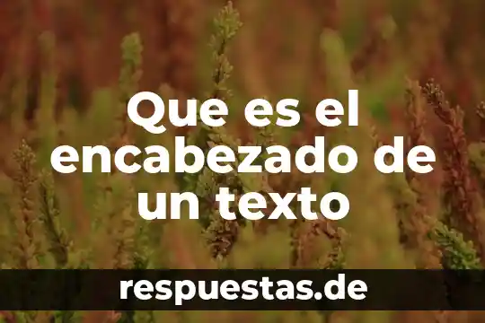 Que es el concepto de ayuwoki 5 Que es el encabezado de un texto