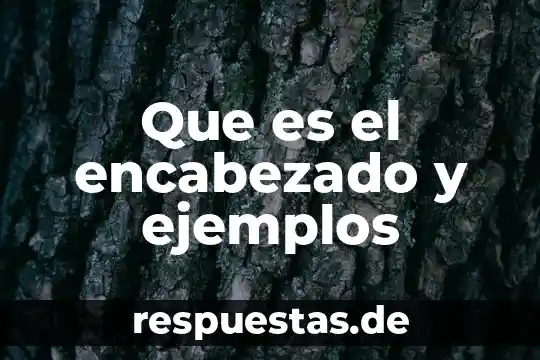 Que es el encabezado y ejemplos