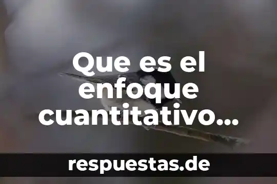 Que es el enfoque informativo 4 Que es el enfoque cuantitativo ejemplos