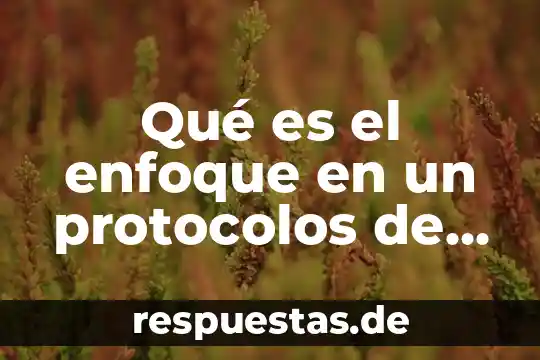 Que es el enfoque informativo 6 Qué es el enfoque en un protocolos de investigación