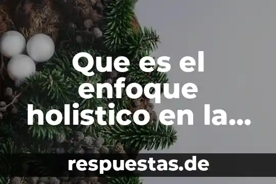 Que es el enfoque informativo 5 Que es el enfoque holistico en la investigacion social