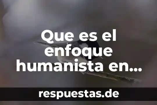 Que es ser hombre humanista 7 Que es el enfoque humanista en la pedagogia