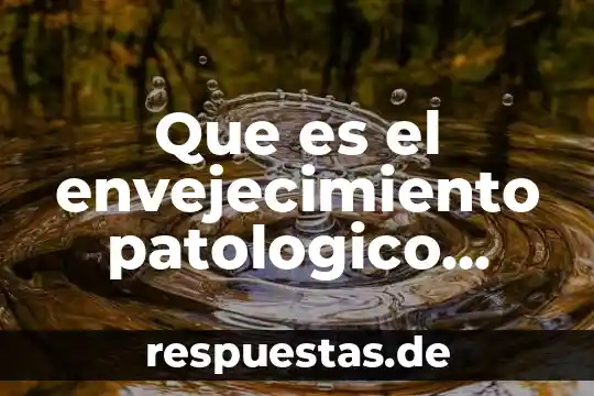 Qué es la democracia definición y concepto 4 Que es el envejecimiento patologico definicion