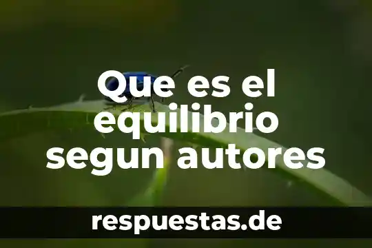 Que es razonamiento segun autores 6 Que es el equilibrio segun autores