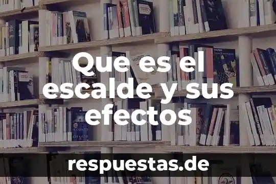 Que es el concepto de emigracion 5 Que es el escalde y sus efectos