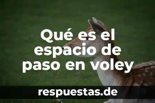 Que es el espacio en interiorismo 7 Qué es el espacio de paso en voley