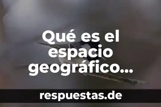 Qué es marco geográfico concepto 8 Qué es el espacio geográfico primero de secundaria