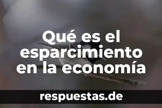 Qué es la industria de esparcimiento 4 Qué es el esparcimiento en la economía