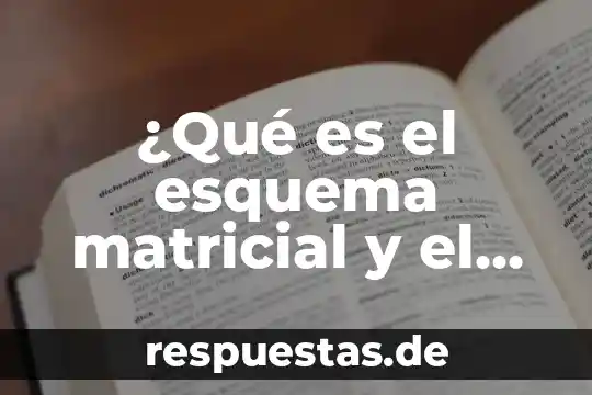 Qué es la programación lógica y funcional 3 ¿Qué es el esquema matricial y el funcional?