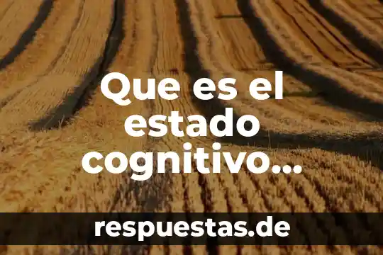 Que es el estado del arte en una investigacion ejemplo 3 Que es el estado cognitivo general