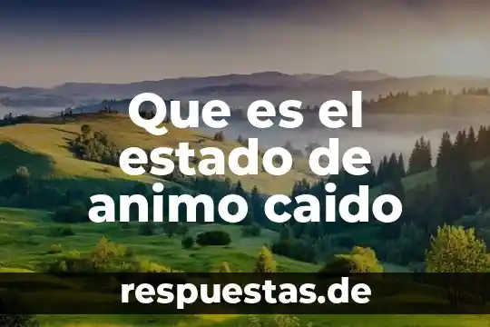 Que es el saldo anterior en los estado de cuenta 3 Que es el estado de animo caido