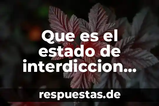Que es el estado de interdiccion segun el derecho romano
