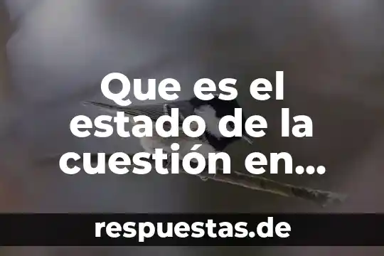 Que es el saldo anterior en los estado de cuenta 7 Que es el estado de la cuestión en una investigación