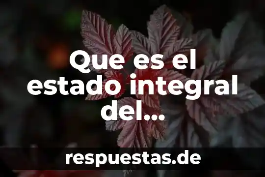 Qué es el diagnóstico integral soap o pes 8 Que es el estado integral del financiamiento