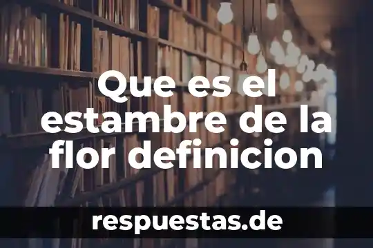 Qué es bitrate definición 6 Que es el estambre de la flor definicion