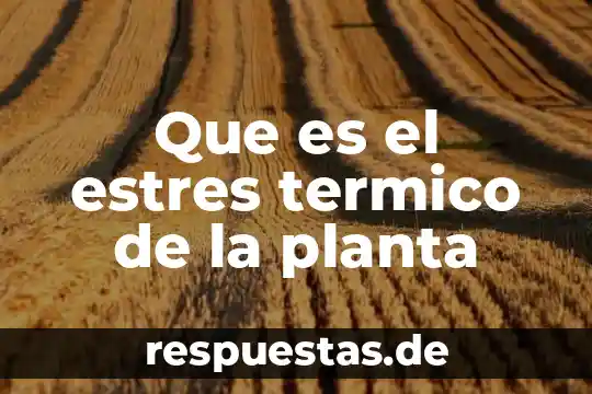 Que es la planta sanagachi 4 Que es el estres termico de la planta