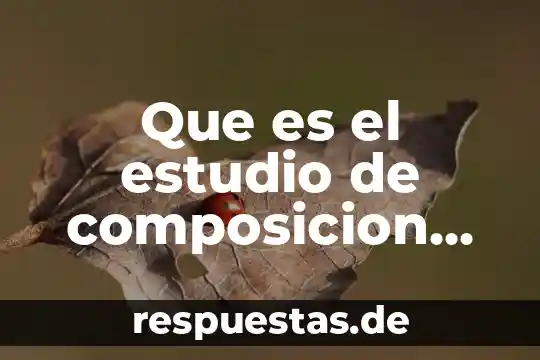 Que es el estudio de composicion corporal