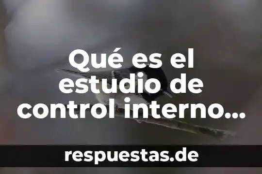 Que es el control administrativo definición 7 Qué es el estudio de control interno en auditoría internacional