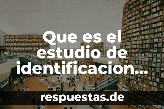 Qué es el número de identificación del INE 6 Que es el estudio de identificacion g.r.c
