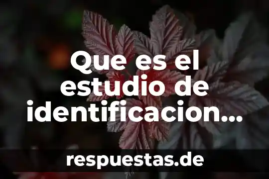 Qué es el número de identificación del INE 4 Que es el estudio de identificacion g.r.c