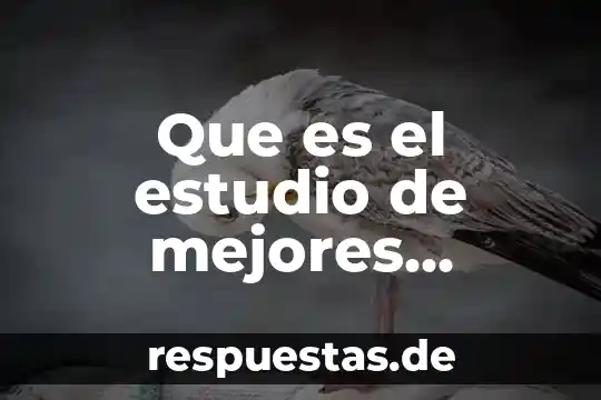 Que es ser pichel 4 Que es el estudio de mejores alternativas