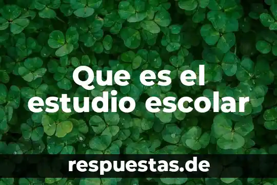 Que es el estudio escolar
