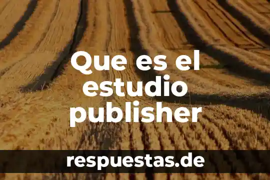 Que es estudio r&r 4 Que es el estudio publisher