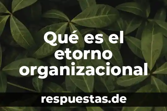 Qué es la cultura organizacional según Stephen Robbins 8 Qué es el etorno organizacional