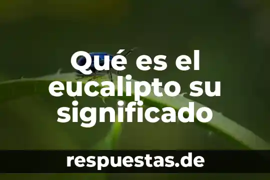 Que es kriptonita significado 3 Qué es el eucalipto su significado
