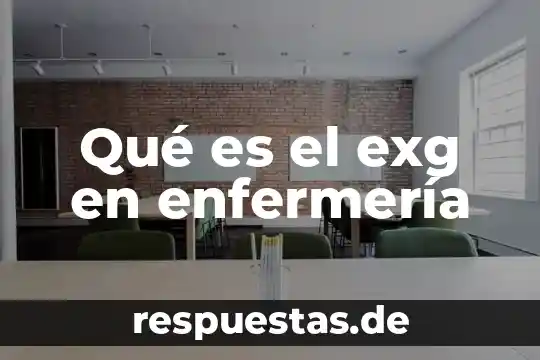 Que es teorista de enfermeria 4 Qué es el exg en enfermería