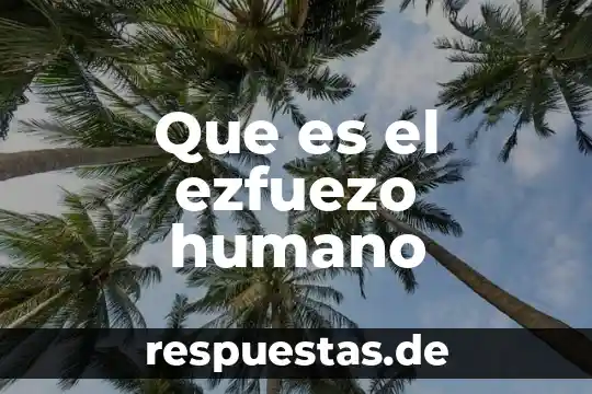 Que es un ente humano 7 Que es el ezfuezo humano