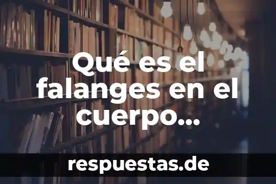 Que es el maltrato al ser humano 3 Qué es el falanges en el cuerpo humano