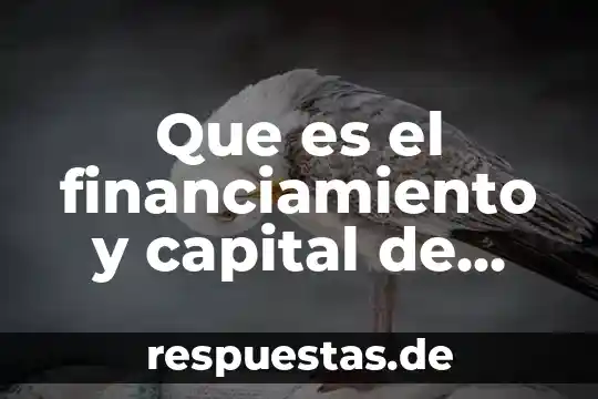 Qué es amortización de capital definición 8 Que es el financiamiento y capital de trabajo