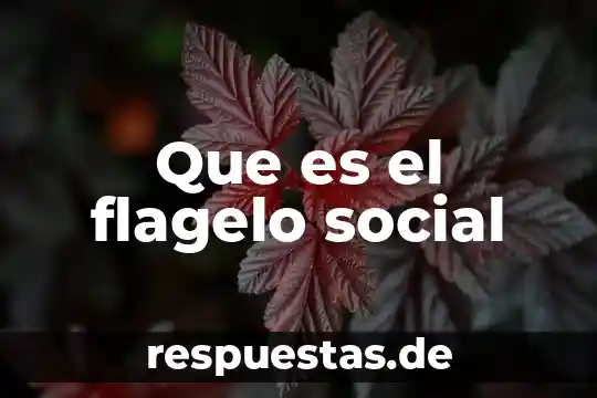 Que es el flagelo social
