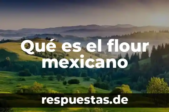 Que es el nombre en el derecho mexicano 4 Qué es el flour mexicano