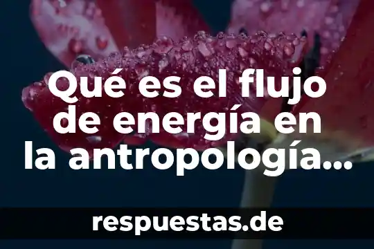 Qué es método analítico contable 5 Qué es el flujo de energía en la antropología ecológica