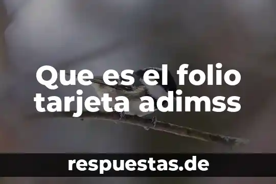 Que es el nombre exacto que aparece en la tarjeta 3 Que es el folio tarjeta adimss